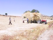 Türkiye'de Tarım Öğreniminin 175. Yıldönümü ve Ziraat Mühendislerinin Günü Kutlu