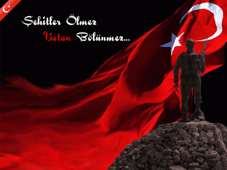 Baş Sağlığı